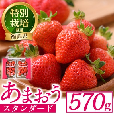スタンダードあまおう(計570g・285g×2P)(春日市)