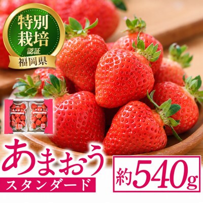スタンダードあまおう約250～270g×2P(約540g)