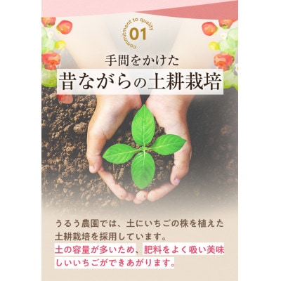 スタンダードあまおう(計570g・285g×2P)(春日市)