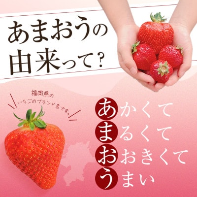 スタンダードあまおう(計570g・285g×2P)(春日市)