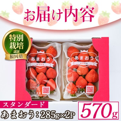 スタンダードあまおう(計570g・285g×2P)(春日市)