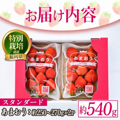 スタンダードあまおう約250～270g×2P(約540g)