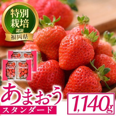 スタンダードあまおう(計1140g・285g×4P)(春日市)