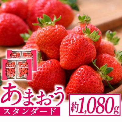 スタンダードあまおう約250g～270g×4P(約1080g)