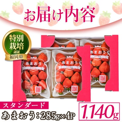 スタンダードあまおう(計1140g・285g×4P)(春日市)