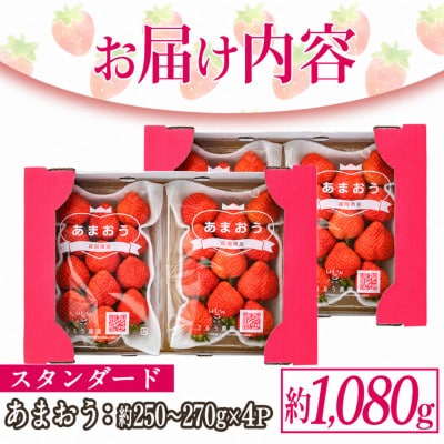 スタンダードあまおう約250g～270g×4P(約1080g)