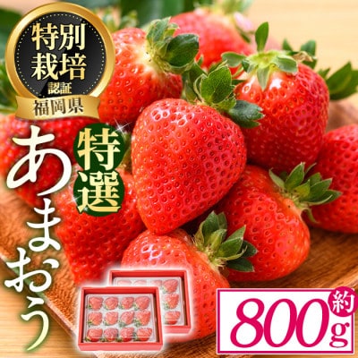 特選あまおう 約800g(春日市)