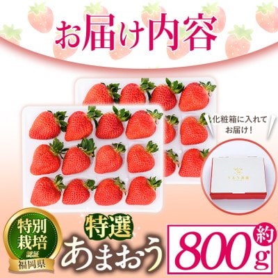 特選あまおう 約800g(春日市)