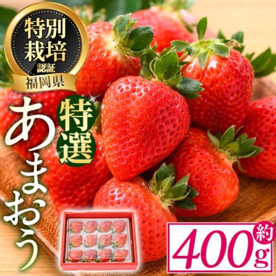 特選あまおう 約400g(春日市)