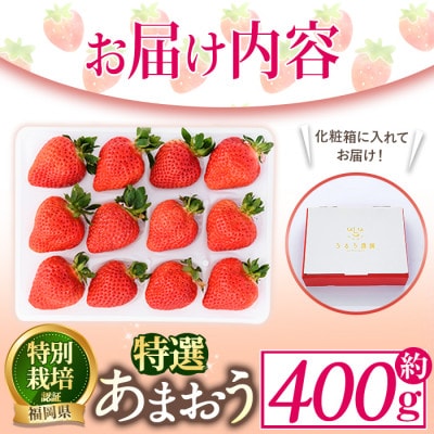 特選あまおう 約400g(春日市)