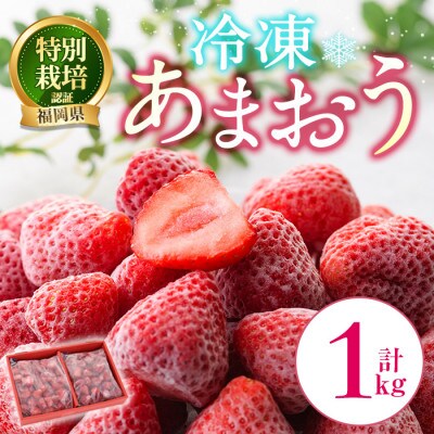 冷凍あまおう1kg(春日市)