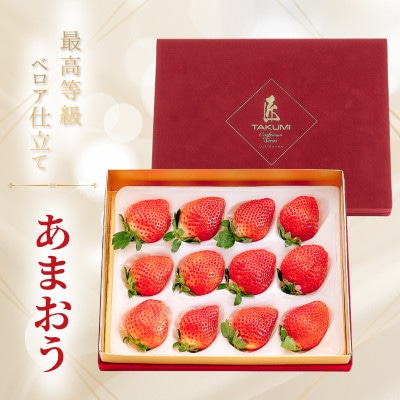 【2026年11月中旬～】あまおうベロアEX等級(プレミアム化粧箱)12粒 約400g (春日市)