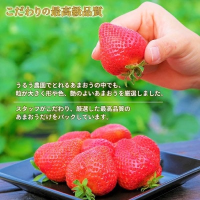 【2026年11月中旬～】あまおうベロアEX等級(プレミアム化粧箱)12粒 約400g (春日市)