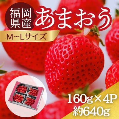 【2027年3月～4月】うるう農園のあまおう(MLサイズ) 約160g×4P (春日市)