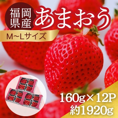 【2027年3月～4月】うるう農園のあまおう(MLサイズ)約160g×12パック (春日市)