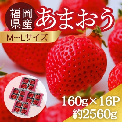 【2027年3月～4月】うるう農園のあまおう(MLサイズ)約160g×16パック (春日市)