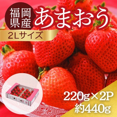 【2027年3月～4月】うるう農園のあまおう(2Lサイズ) 約220g×2パック (春日市)