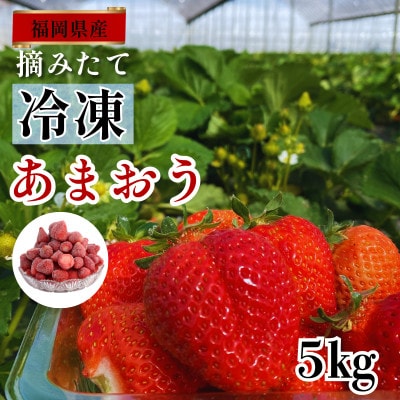 うるう農園の冷凍あまおう 5kg (春日市)