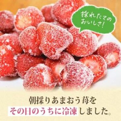 うるう農園の冷凍あまおう 5kg (春日市)