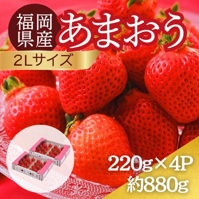 【2027年3月～4月】うるう農園のあまおう(2Lサイズ) 約220g×4パック (春日市)