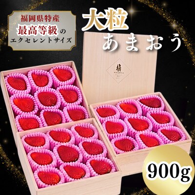 【2026年11月～2027年4月頃発送予定】あまおう至極EX等級赤 約900g(重箱3段)春日市