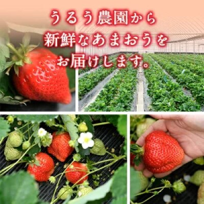 【2026年11月中旬～2027年4月上旬頃発送予定】あまおう「極」大粒 約80g (春日市)