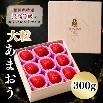 【2026年11月～2027年4月頃発送予定】あまおう至福EX等級赤 約300g(重箱1段)春日市
