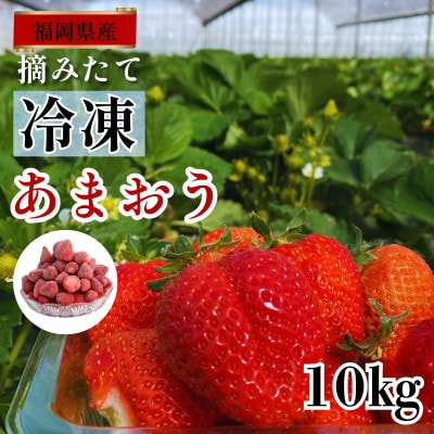 うるう農園の冷凍あまおう10kg (春日市)