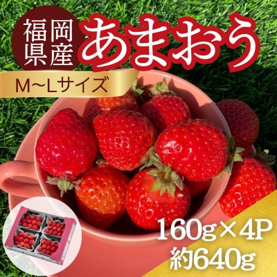 【2026年12月～2月発送】うるう農園のあまおう(MLサイズ)約160g×4P (春日市)