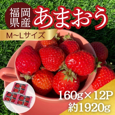 【2026年12月～2月発送】うるう農園のあまおう(MLサイズ)約160g×12P (春日市)