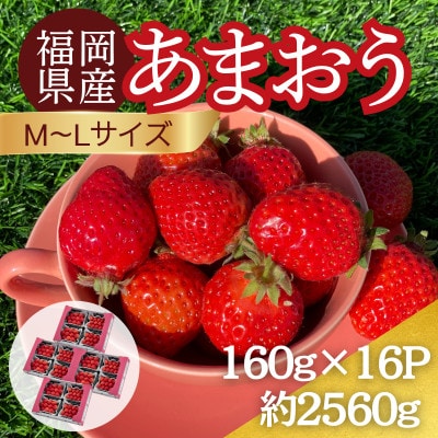 【2026年12月～2月発送】うるう農園のあまおう(MLサイズ)約160g×16パック (春日市)