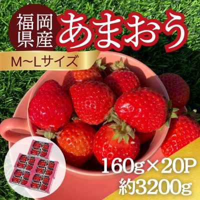 【2026年12月～2月発送】うるう農園のあまおう(MLサイズ)約160g×20パック (春日市)