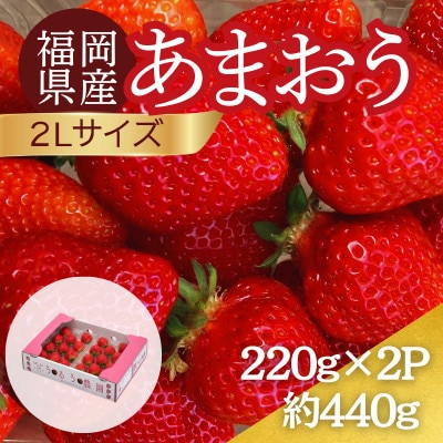 【2026年12月～2月発送】うるう農園のあまおう(2Lサイズ)約220g×2パック (春日市)