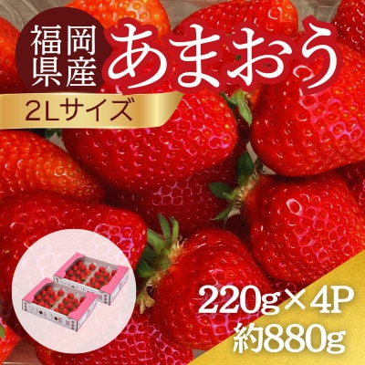 【2026年12月～2月発送】うるう農園のあまおう(2Lサイズ)約220g×4パック (春日市)