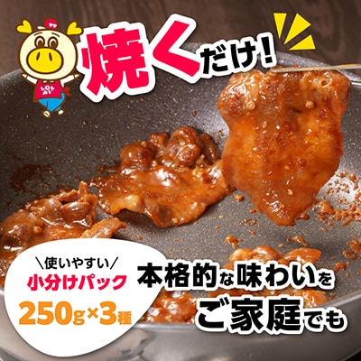 味付け牛タン3種(味噌だれ・塩だれ・焼肉だれ)各250g