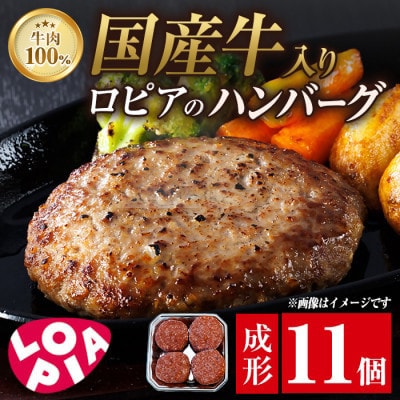 【春日市限定】ロピア　ハンバーグ11個&冷凍ピザ3種9枚!ファミリーセット♪【複数個口で配送】