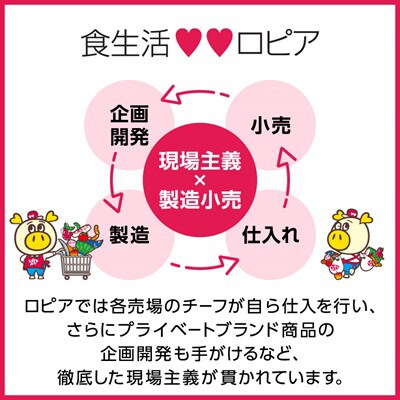 【春日市限定】ロピア　ハンバーグ11個&冷凍ピザ3種9枚!ファミリーセット♪【複数個口で配送】