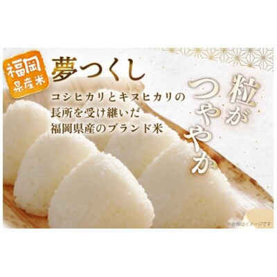 【令和7年産】福岡県産夢つくし 5kg 精米(春日市)