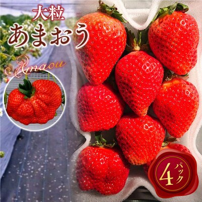 【2027年2月より順次発送】厳選大粒あまおう(約250-270g×4パック)(春日市)