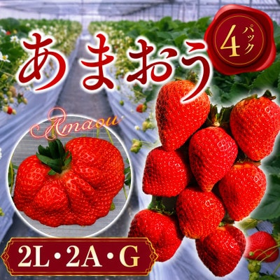 【2027年3月上旬より順次発送】春のあまおう (2L・2A・G規格 4パック) (春日市)