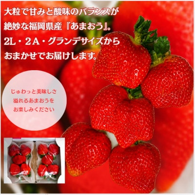 【2027年3月上旬より順次発送】春のあまおう (2L・2A・G規格 4パック) (春日市)