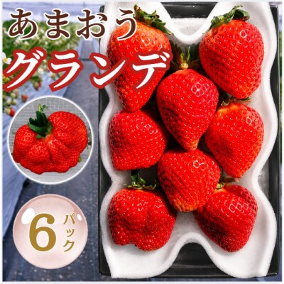 【2027年2月より順次発送】あまおう6パックセット (約250-270g×6パック)(春日市)