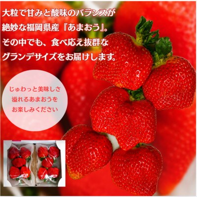 【2027年2月より順次発送】あまおう6パックセット (約250-270g×6パック)(春日市)