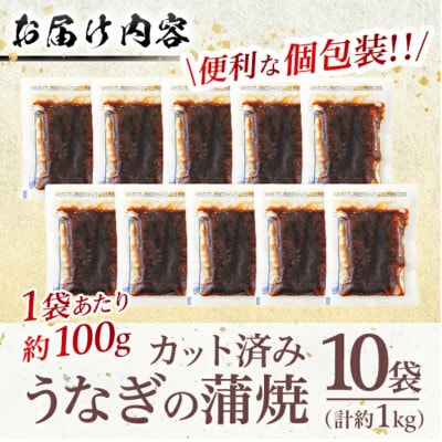 【食べたい時に手軽に】訳あり うなぎ蒲焼カット  約10人前 (1P約100g・計約1kg)