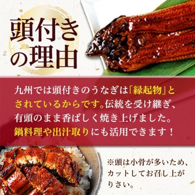 【食べたい時に手軽に】訳あり・簡易包装 うなぎ蒲焼 4尾(計約800g)