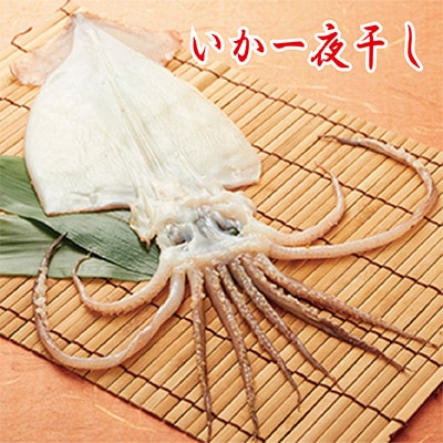 藤文の「新にっぽんの干物セット」
