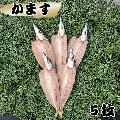 藤文の「新にっぽんの干物セット」