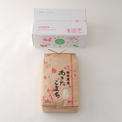 【令和6年産】さいとうさん家のあきたこまち(精米)10kg(10kg×1袋)