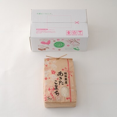 【令和7年産】さいとうさん家のあきたこまち(精米)5kg(5kg×1袋)
