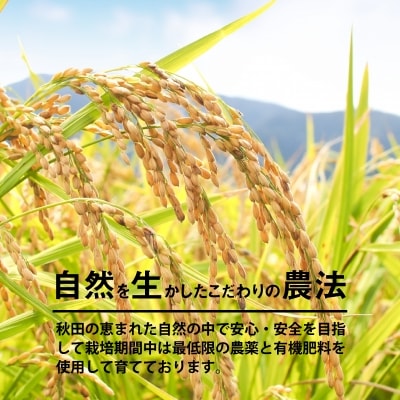 【令和7年産】さいとうさん家のあきたこまち(精米)5kg(5kg×1袋)